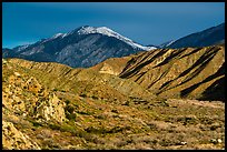 Pictures of Sand to Snow National Monument