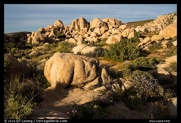 Boulders, Flat Top Butte. Sand to Snow National Monument, California, USA (color)