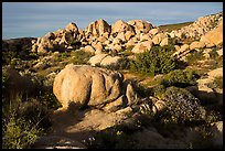 Boulders, Flat Top Butte. Sand to Snow National Monument, California, USA ( color)