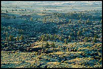 Schonchin Flow. Lava Beds National Monument, California, USA ( color)