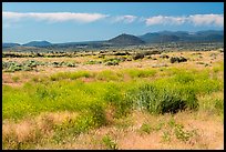 Grasslands and volcanic buttes. Lava Beds National Monument, California, USA ( color)