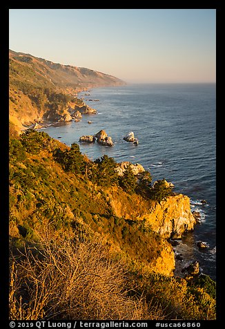 Costline from Partington Point at sunset, Julia Pfeiffer Burns State Park. Big Sur, California, USA (color)