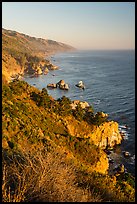 Costline from Partington Point at sunset, Julia Pfeiffer Burns State Park. Big Sur, California, USA ( color)