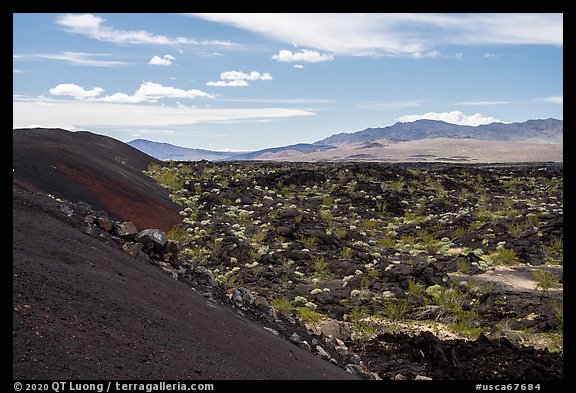 Pishgah cinders and lava flow. Mojave Trails National Monument, California, USA (color)