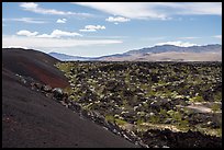 Pishgah cinders and lava flow. Mojave Trails National Monument, California, USA ( color)