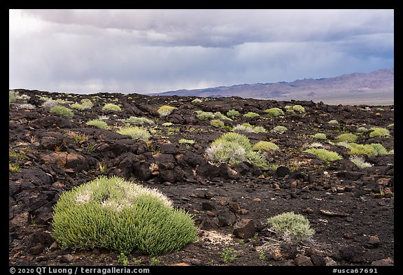 Lavic Lake volcanic field and Cady Mountains. Mojave Trails National Monument, California, USA (color)