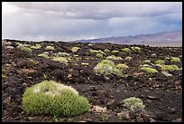 Lavic Lake volcanic field and Cady Mountains. Mojave Trails National Monument, California, USA ( color)