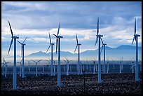 Wind turbines at dawn, San Gorgonio Pass. California, USA ( color)