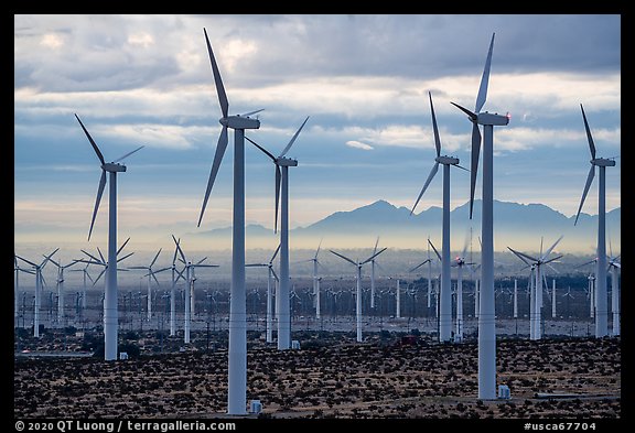 Wind turbines above Coachella Valley at sunrise. California, USA (color)