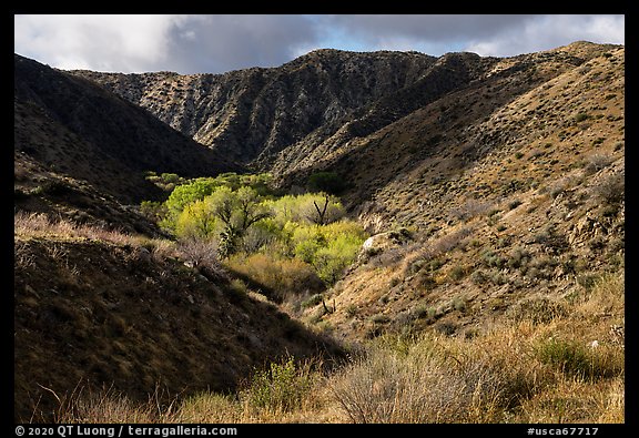 Little San Bernardino Mountains, Big Morongo Preserve. Sand to Snow National Monument, California, USA (color)