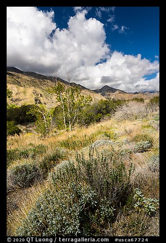 Whitewater River Valley and San Bernardino Mountains, Whitewater Preserve. Sand to Snow National Monument, California, USA (color)