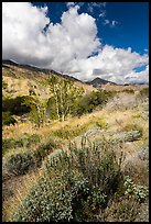 Whitewater River Valley and San Bernardino Mountains, Whitewater Preserve. Sand to Snow National Monument, California, USA ( color)