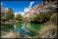 Trout Pond, Whitewater Preserve. Sand to Snow National Monument, California, USA ( color)