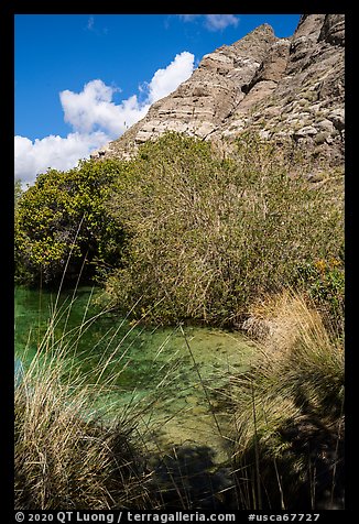 Pond and cliffs, Whitewater Preserve. Sand to Snow National Monument, California, USA (color)