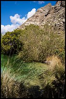 Pond and cliffs, Whitewater Preserve. Sand to Snow National Monument, California, USA ( color)