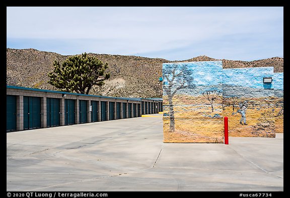 Self-storage units with Joshua trees, Yucca Valley. California, USA (color)
