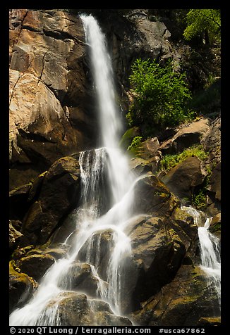 Grizzly Fall, summer. Giant Sequoia National Monument, Sequoia National Forest, California, USA (color)