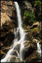 Grizzly Fall, summer. Giant Sequoia National Monument, Sequoia National Forest, California, USA ( color)