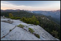 Dome Rock and Needles. Giant Sequoia National Monument, Sequoia National Forest, California, USA ( color)