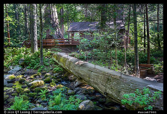 Bridge made of fallen giant sequoia, Belknap Grove. Giant Sequoia National Monument, Sequoia National Forest, California, USA (color)