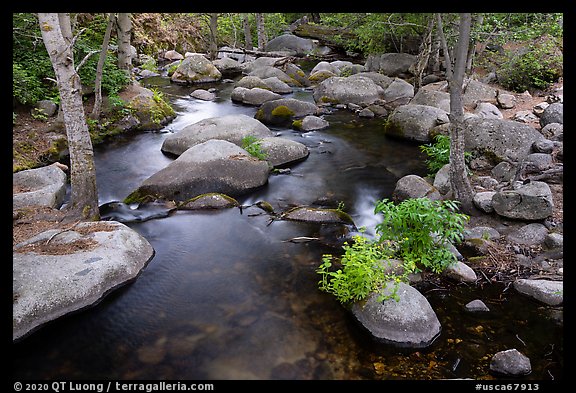 Middle Fork Tule River. Giant Sequoia National Monument, Sequoia National Forest, California, USA (color)