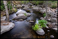 Middle Fork Tule River. Giant Sequoia National Monument, Sequoia National Forest, California, USA ( color)