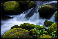 Mossy boulders, Middle Fork Tule River. Giant Sequoia National Monument, Sequoia National Forest, California, USA ( color)