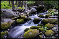 Middle Fork Tule River cascading over boulders. Giant Sequoia National Monument, Sequoia National Forest, California, USA ( color)