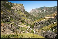 Middle Fork Tule River Canyon. Giant Sequoia National Monument, Sequoia National Forest, California, USA ( color)