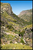 Middle Fork Tule River valley with cliffs. Giant Sequoia National Monument, Sequoia National Forest, California, USA ( color)