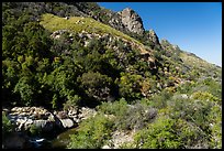 Tule River Valley. Giant Sequoia National Monument, Sequoia National Forest, California, USA ( color)