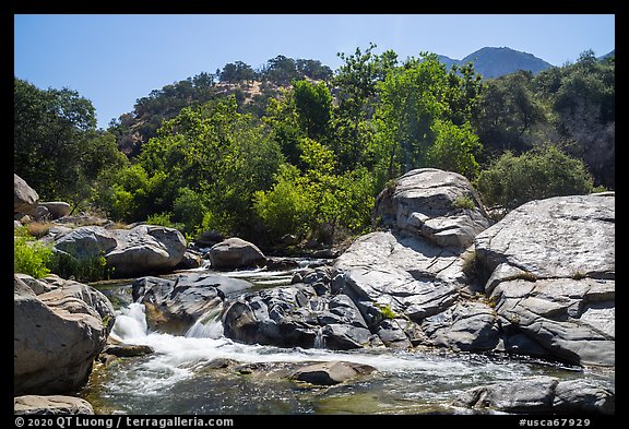 Tule River at Lower Coffee Camp. Giant Sequoia National Monument, Sequoia National Forest, California, USA (color)