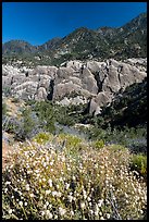 Wildflowers, sandstone fins, and mountains. San Gabriel Mountains National Monument, California, USA ( color)