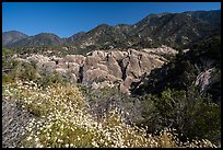 Wildflowers, sandstone fins in Punchbowl Canyon. San Gabriel Mountains National Monument, California, USA ( color)