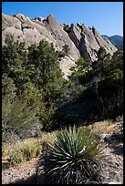 Agave and tilted sandstone formation from the base, Devils Punchbowl. San Gabriel Mountains National Monument, California, USA ( color)