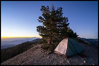 Tent on Mount Baldy Devils Backbone at dawn. San Gabriel Mountains National Monument, California, USA ( color)