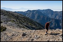 Hiker on Mt Baldy's Devils Backbone. San Gabriel Mountains National Monument, California, USA ( color)