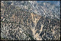 Slopes below Ontario Peak. San Gabriel Mountains National Monument, California, USA ( color)