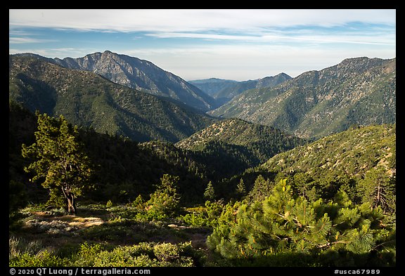 Valley between Iron Mountain and Ross Mountain from Blue Ridge. San Gabriel Mountains National Monument, California, USA (color)