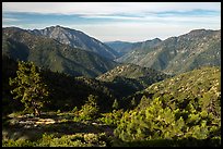 Valley between Iron Mountain and Ross Mountain from Blue Ridge. San Gabriel Mountains National Monument, California, USA ( color)