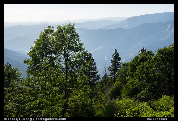 Hazy ridges from Converse Basin. Giant Sequoia National Monument, Sequoia National Forest, California, USA (color)