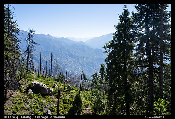 View over Kings Canyon from Converse Basin. Giant Sequoia National Monument, Sequoia National Forest, California, USA (color)