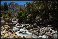 Canyon of the South Fork Kings River. Giant Sequoia National Monument, Sequoia National Forest, California, USA ( color)