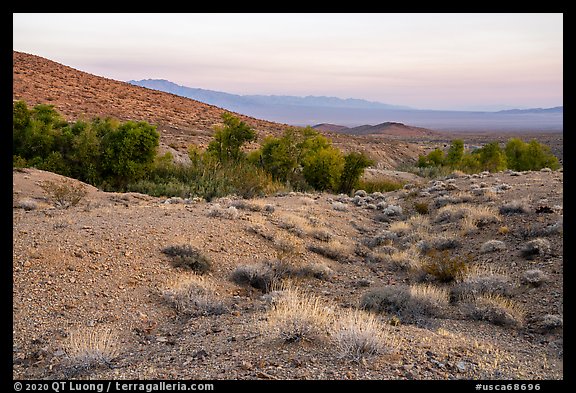 Limestone canyon with Bonanza Springs Oasis. Mojave Trails National Monument, California, USA (color)