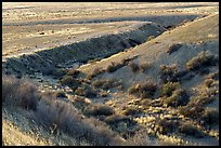 Bend at Wallace Creek with channel offset. Carrizo Plain National Monument, California, USA ( color)