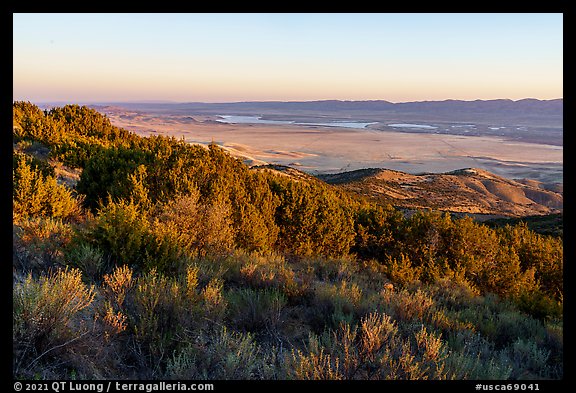 Caliente Ridge with juniper above plain at sunrise. Carrizo Plain National Monument, California, USA (color)