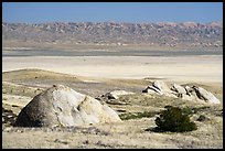 Selby Rocks, plain, and Temblor Range. Carrizo Plain National Monument, California, USA ( color)