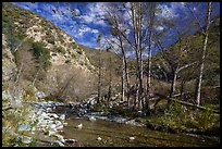 East Fork of San Gabriel River in late winter. San Gabriel Mountains National Monument, California, USA ( color)