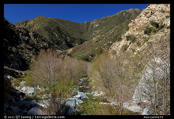 San Gabriel River flowing in canyon with newly leafed trees. San Gabriel Mountains National Monument, California, USA (color)