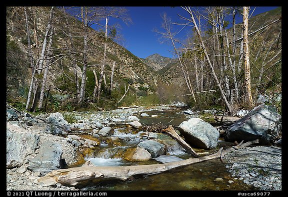 East Fork San Gabriel River flowing over rocks in late winter, Sheep Mountain Wilderness. San Gabriel Mountains National Monument, California, USA